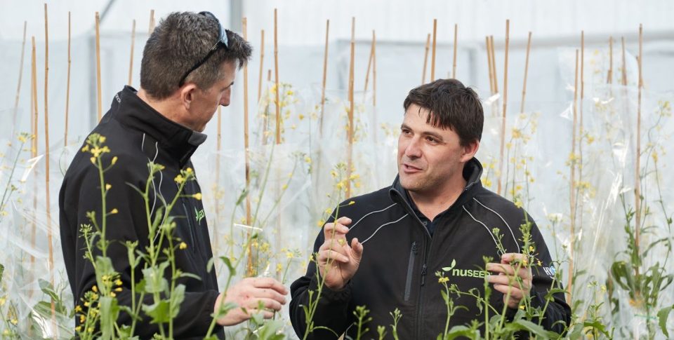 Nuseed Australia