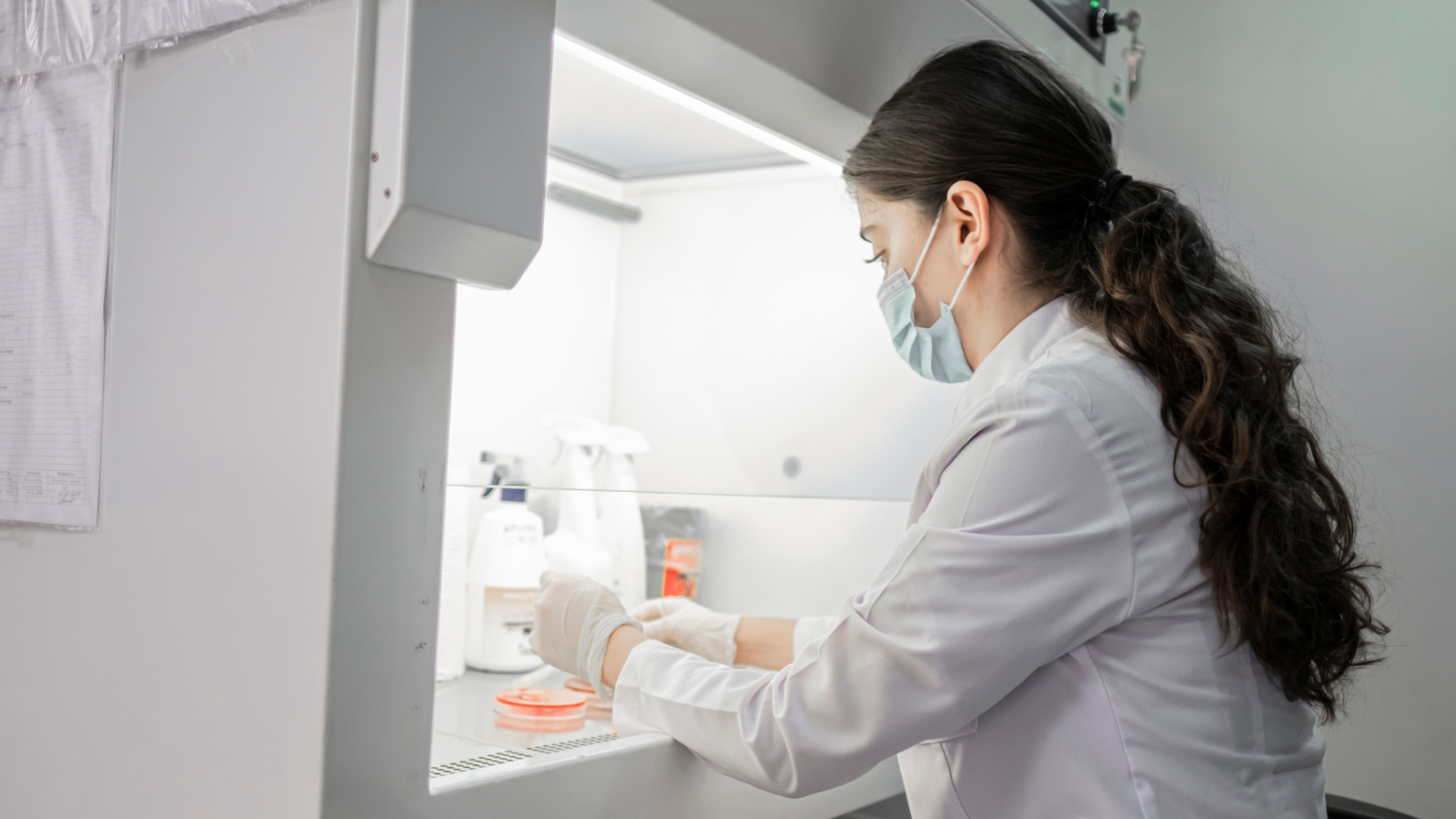 Images for LI Articles - BM (11)